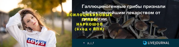 дмт Нязепетровск