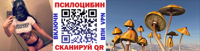 кракен   Чернушка  Псилоцибиновые грибы ЛСД 