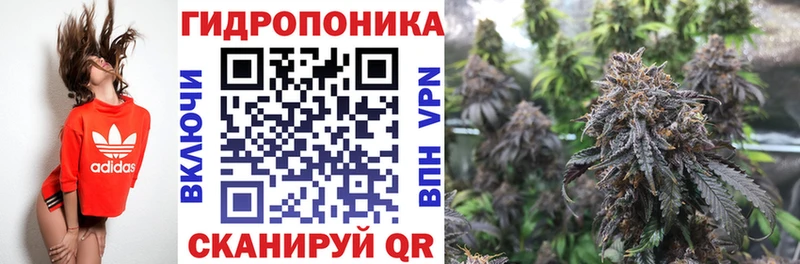 Бошки Шишки индика  как найти наркотики  сайты даркнета состав  Чернушка 